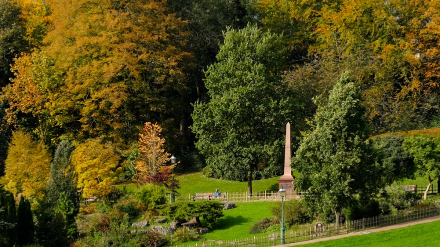 Autumn Avenham Park-1793