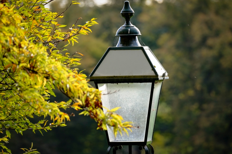 Autumn Avenham Park-1804